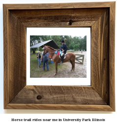 horse trail rides near me in University Park, Illinois